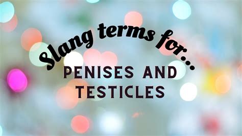 penis lustig|100 Slang